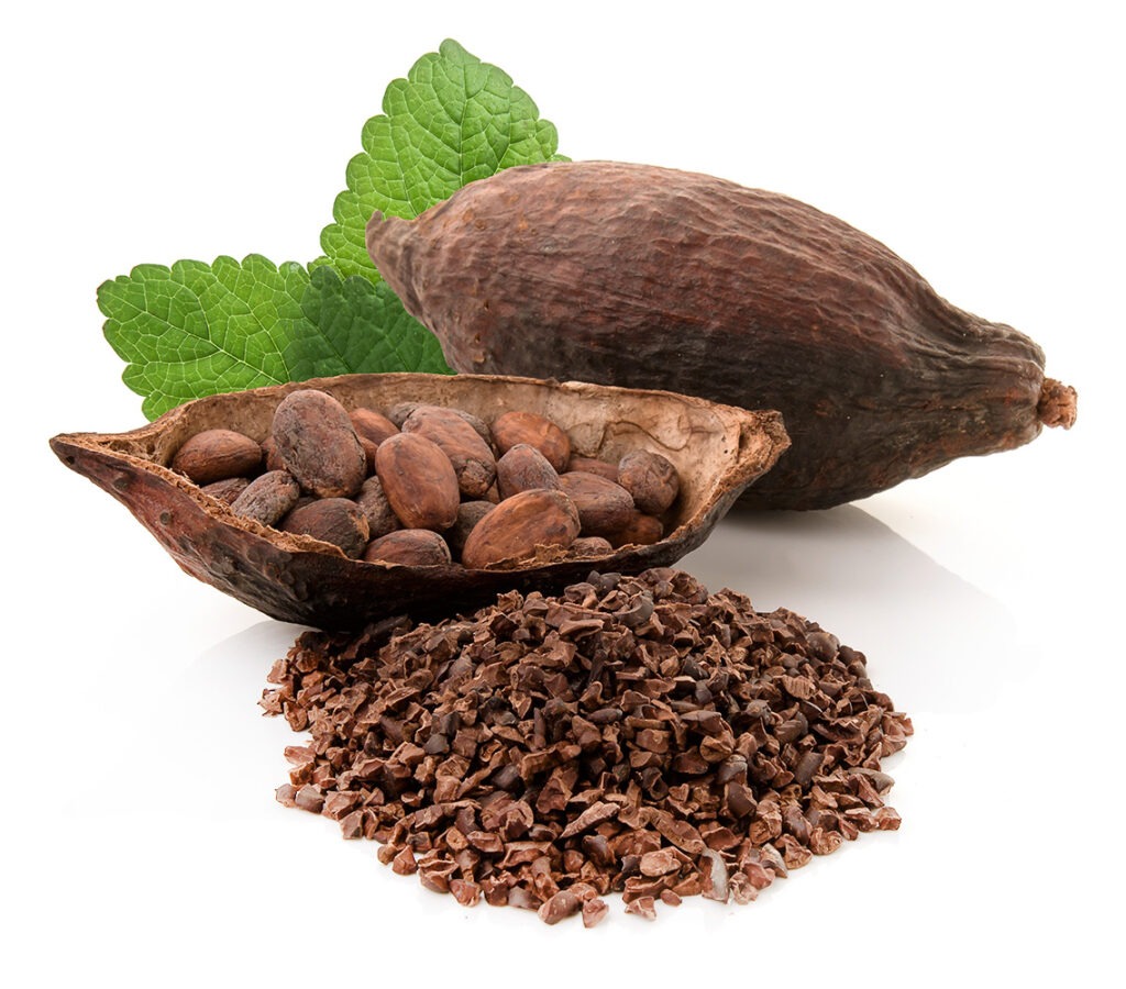 cultivo-de-cacao-rentable-en-colombia