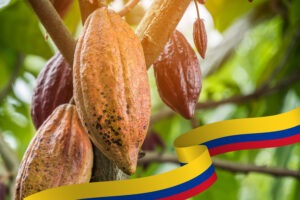 cultivos-mas-rentables-y-con-mas-posibilidades-en-colombia