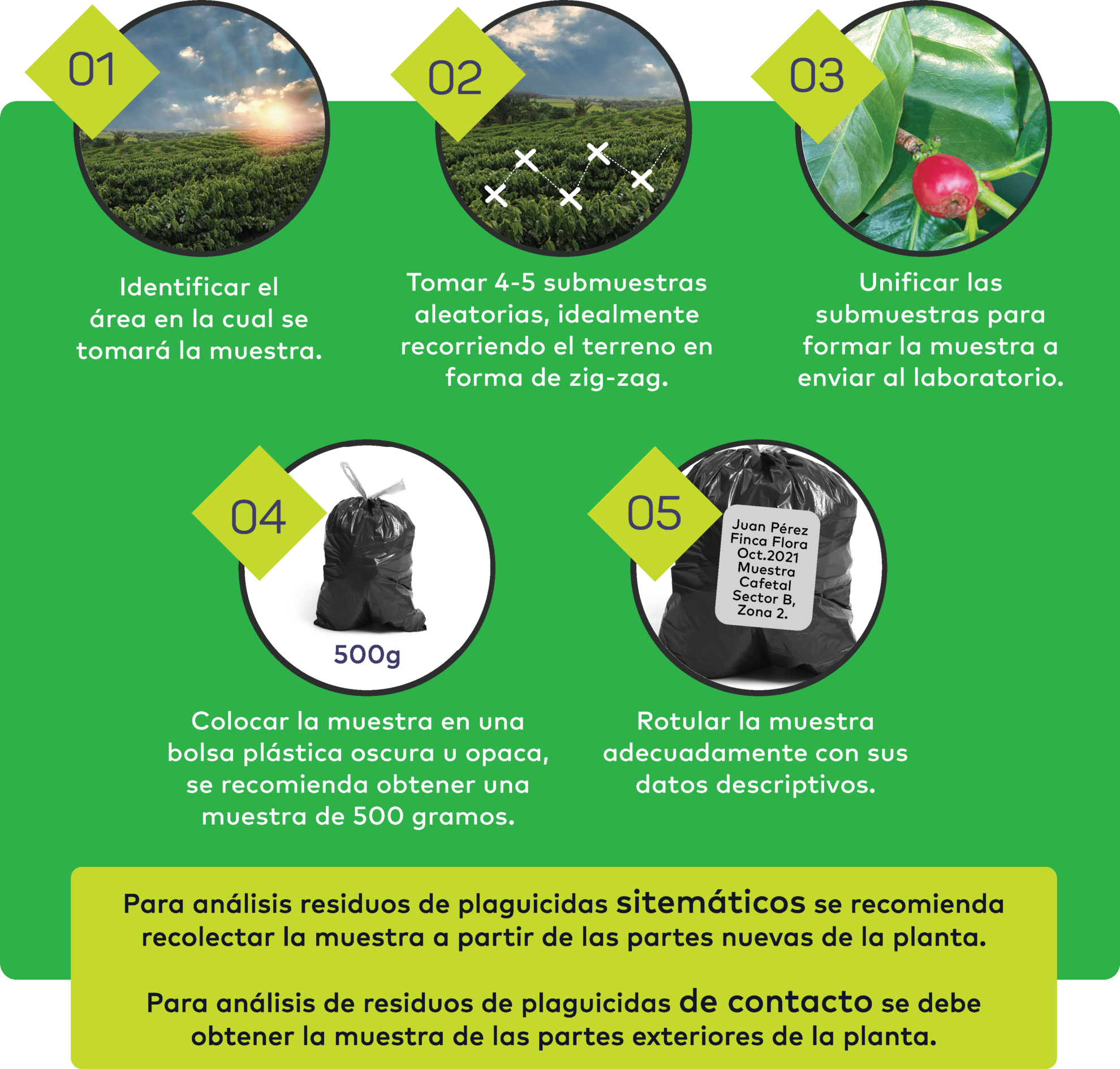 sabes-si-tu-cultivo-tiene-restos-de-plaguicidas-realice-un-muestreo