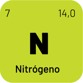 Nitrógeno