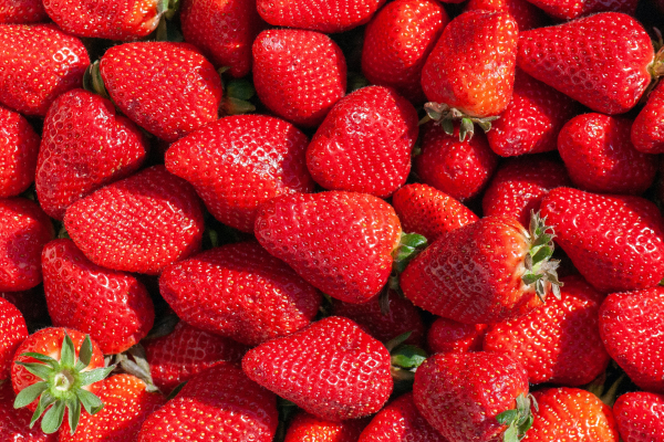 fresas-son-consideradas-berries