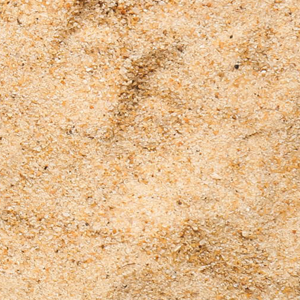 ejemplo-de-suelo-arenoso-influye-seleccion-de-semillas-de-maiz