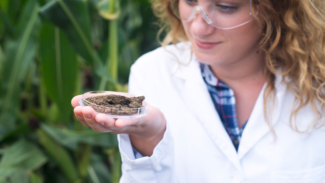 analisis-de-suelo-en-cultivo-de-maiz