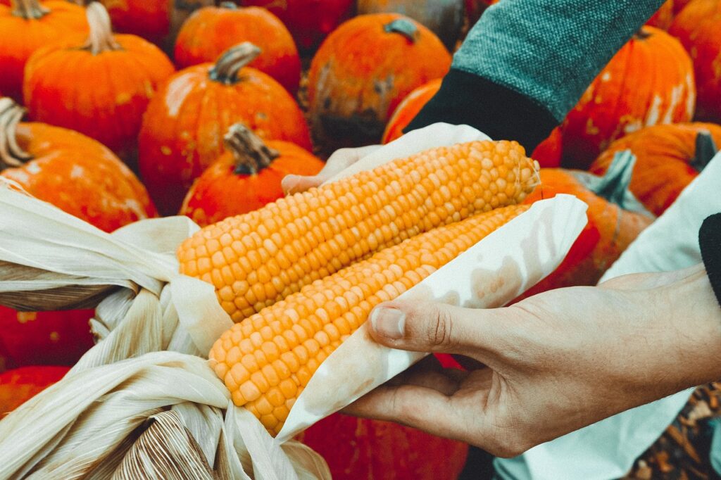 asi-ayuda-la-tecnologia-nuclear-en-nutricion-de-cultivos