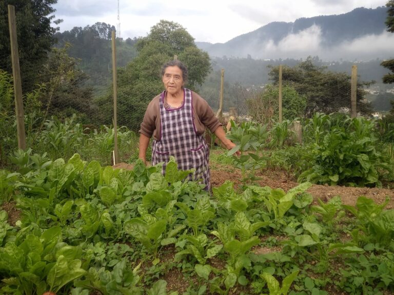 mujer-agricultora-en-huerto-agroecologico