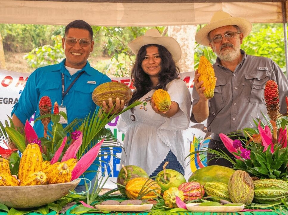 nuevo-clon-cacao-ecuador
