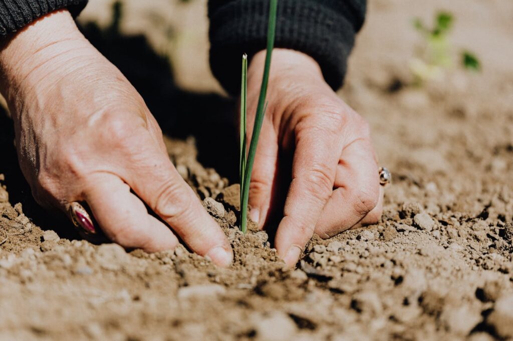 agricultura-regenerativa-suelo-tierra