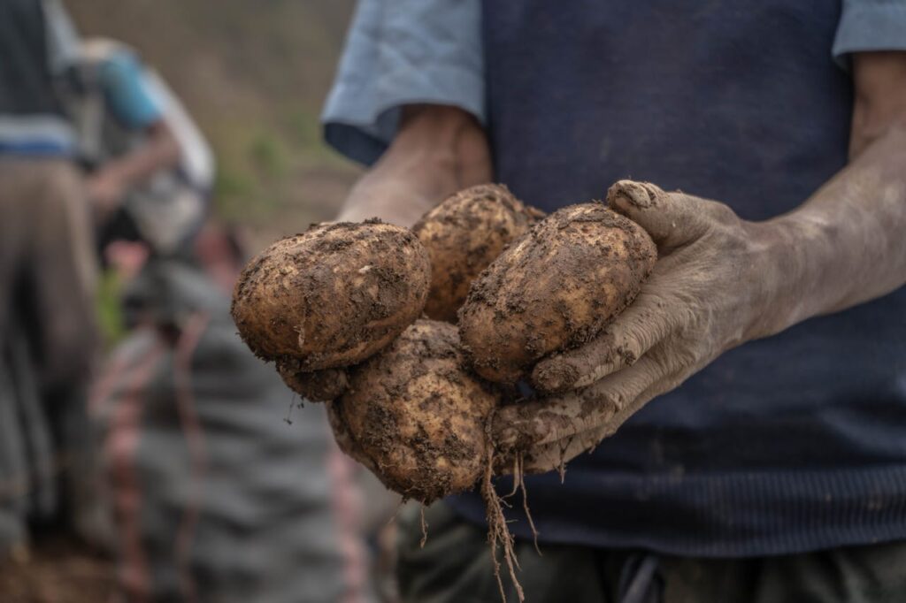 agricultura-regenerativa-en-el-suelo