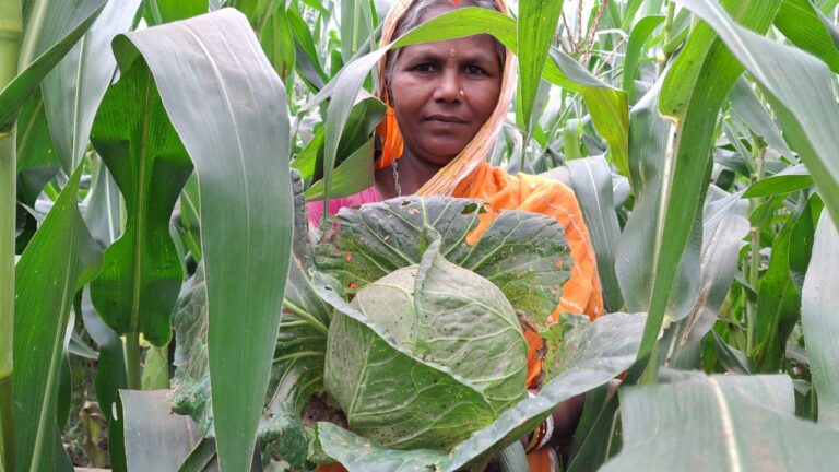 inovacion-agricultura-india