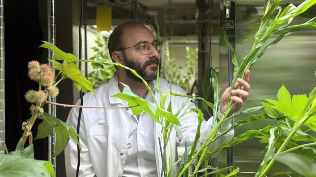 MIT-nuevo-fertilizante