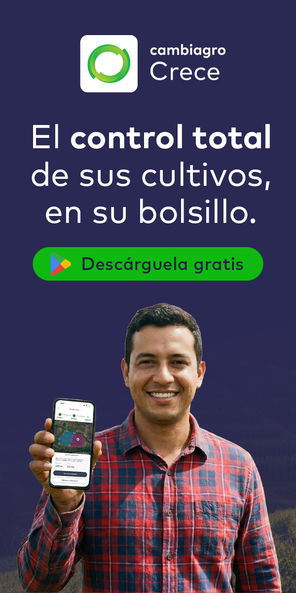 Publicidad